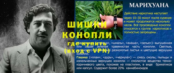 эйфоретик Арсеньев