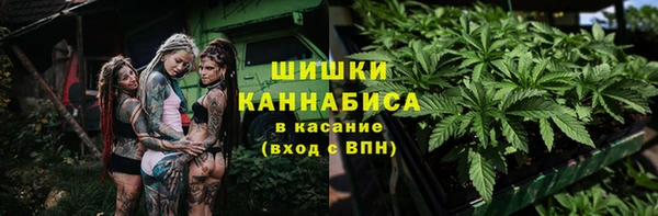 эйфоретик Арсеньев