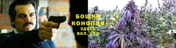 СК Тавда