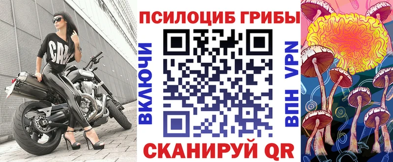 Галлюциногенные грибы Psilocybe  Копейск 