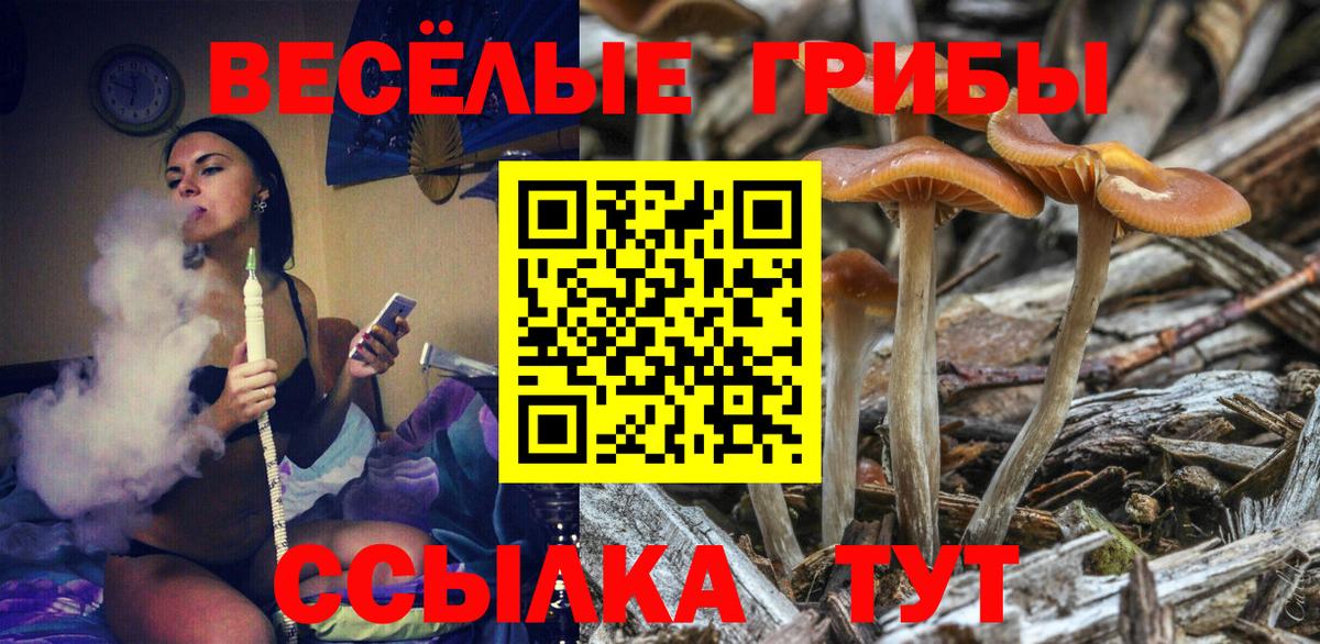 Галлюциногенные грибы GOLDEN TEACHER Копейск