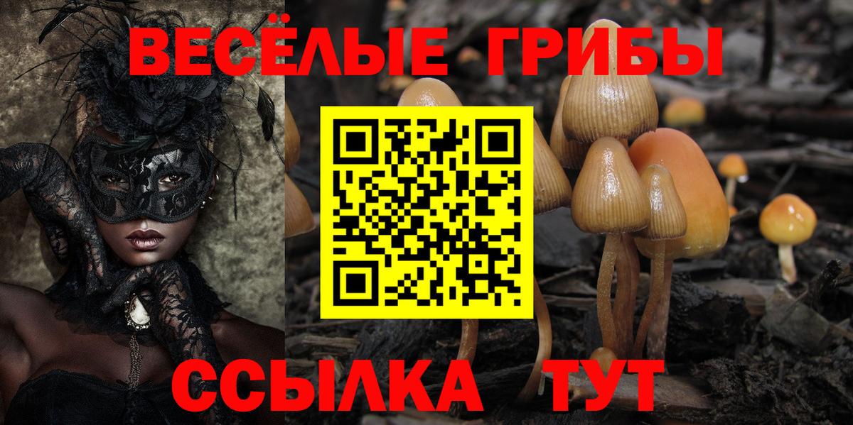 Копейск  Галлюциногенные грибы Psilocybe  Вход с VPN 